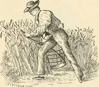 An illustration from The inventors and inventions of Cayuga County, N.Y. (1882)