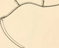 Picture 40 of 75 from The inventors and inventions of Cayuga County, N.Y. (1882), leaf 57