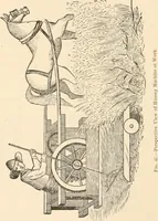 Picture 43 of 75 from The inventors and inventions of Cayuga County, N.Y. (1882), leaf 61