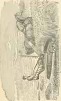 Picture 49 of 75 from The inventors and inventions of Cayuga County, N.Y. (1882), leaf 68