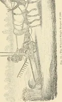 Picture 66 of 75 from The inventors and inventions of Cayuga County, N.Y. (1882), leaf 90
