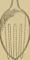 An illustration from Inventor's manual, how to work a patent to make it pay; a guide for inventors, in perfecting their inventions, taking out their patents, and disposing of them, and cautions as to pitfalls for the unwary (1918)