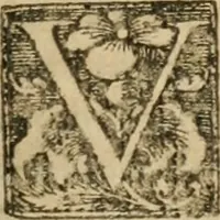 An illustration from Io (1581)