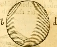 An illustration from Ioan Henrici Alstedii Scientiarum omnium encyclopædiæ : tomus primus [-quartus] ... (1649)