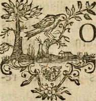 An illustration from Ioann. Ernest. Imm. Walchii ... Antiqvitates Hercvlanenses litterariae : accedit Sylloge inscriptionvm Hercvlanei atqve in eivs confiniis ervtarvm (1751)