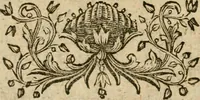 An illustration from Ioann. Ernest. Imm. Walchii ... Antiqvitates Hercvlanenses litterariae : accedit Sylloge inscriptionvm Hercvlanei atqve in eivs confiniis ervtarvm (1751)