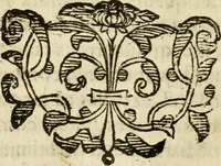 An illustration from Ioannes Baptista Masculi Neapolitani e Societate Iesu De incendio Vesuuii excitato xvij. Kal. Ianuar. anno trigesimo primo saeculi decimoseptimi libri X : cum chronlogia superiorum incendiorum, & ephemeride vltimi (1633)