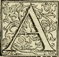 An illustration from Ioannes Baptista Masculi Neapolitani e Societate Iesu De incendio Vesuuii excitato xvij. Kal. Ianuar. anno trigesimo primo saeculi decimoseptimi libri X : cum chronlogia superiorum incendiorum, & ephemeride vltimi (1633)