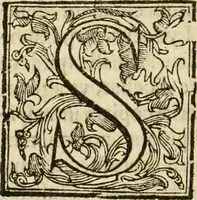 An illustration from Ioannes Baptista Masculi Neapolitani e Societate Iesu De incendio Vesuuii excitato xvij. Kal. Ianuar. anno trigesimo primo saeculi decimoseptimi libri X : cum chronlogia superiorum incendiorum, & ephemeride vltimi (1633)