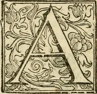An illustration from Ioannes Baptista Masculi Neapolitani e Societate Iesu De incendio Vesuuii excitato xvij. Kal. Ianuar. anno trigesimo primo saeculi decimoseptimi libri X : cum chronlogia superiorum incendiorum, & ephemeride vltimi (1633)