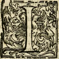 An illustration from Ioannes Baptista Masculi Neapolitani e Societate Iesu De incendio Vesuuii excitato xvij. Kal. Ianuar. anno trigesimo primo saeculi decimoseptimi libri X : cum chronlogia superiorum incendiorum, & ephemeride vltimi (1633)