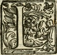 An illustration from Ioannes Baptista Masculi Neapolitani e Societate Iesu De incendio Vesuuii excitato xvij. Kal. Ianuar. anno trigesimo primo saeculi decimoseptimi libri X : cum chronlogia superiorum incendiorum, & ephemeride vltimi (1633)