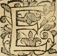 An illustration from Ioannes Baptista Masculi Neapolitani e Societate Iesu De incendio Vesuuii excitato xvij. Kal. Ianuar. anno trigesimo primo saeculi decimoseptimi libri X : cum chronlogia superiorum incendiorum, & ephemeride vltimi (1633)