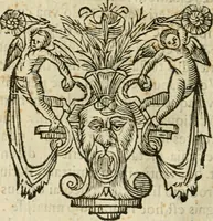 An illustration from Ioannes Baptista Masculi Neapolitani e Societate Iesu De incendio Vesuuii excitato xvij. Kal. Ianuar. anno trigesimo primo saeculi decimoseptimi libri X : cum chronlogia superiorum incendiorum, & ephemeride vltimi (1633)