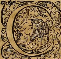 An illustration from Ioannis Albini lvcani De gestis regvm Neapo. ab Aragonia qvi extant libri qvatvor (1589)