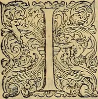 An illustration from Ioannis Albini lvcani De gestis regvm Neapo. ab Aragonia qvi extant libri qvatvor (1589)