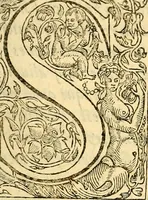 An illustration from Ioannis Argenterii medici De somno et vigilia libri duo : in quibus continentur duae tractationes de calido nativo, et de spiritibus : omnia non solum medicis, sed etiam universis bonarum artium studiosis utilia, & jucunda, atque aliter explicata, quam hactenus fuerint ab aliis tradita (1556)