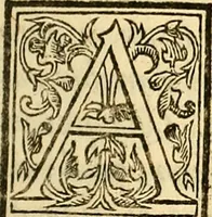 An illustration from Ioannis Argenterii medici De somno et vigilia libri duo : in quibus continentur duae tractationes de calido nativo, et de spiritibus : omnia non solum medicis, sed etiam universis bonarum artium studiosis utilia, & jucunda, atque aliter explicata, quam hactenus fuerint ab aliis tradita (1556)
