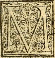 An illustration from Ioannis Argenterii medici De somno et vigilia libri duo : in quibus continentur duae tractationes de calido nativo, et de spiritibus : omnia non solum medicis, sed etiam universis bonarum artium studiosis utilia, & jucunda, atque aliter explicata, quam hactenus fuerint ab aliis tradita (1556)