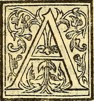 Picture 31 of 43 from Ioannis Argenterii medici De somno et vigilia libri duo : in quibus continentur duae tractationes de calido nativo, et de spiritibus : omnia non solum medicis, sed etiam universis bonarum artium studiosis utilia, & jucunda, atque aliter explicata, quam hactenus fuerint ab aliis tradita (1556), leaf 235