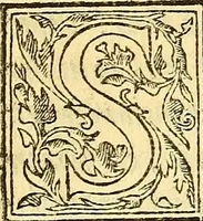 An illustration from Ioannis Argenterii medici De somno et vigilia libri duo : in quibus continentur duae tractationes de calido nativo, et de spiritibus : omnia non solum medicis, sed etiam universis bonarum artium studiosis utilia, & jucunda, atque aliter explicata, quam hactenus fuerint ab aliis tradita (1556)