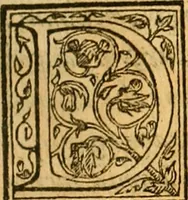 An illustration from Ioannis Argenterii medici De somno et vigilia libri duo : in quibus continentur duae tractationes de calido nativo, et de spiritibus : omnia non solum medicis, sed etiam universis bonarum artium studiosis utilia, & jucunda, atque aliter explicata, quam hactenus fuerint ab aliis tradita (1556)