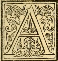 An illustration from Ioannis Argenterii medici De somno et vigilia libri duo : in quibus continentur duae tractationes de calido nativo, et de spiritibus : omnia non solum medicis, sed etiam universis bonarum artium studiosis utilia, & jucunda, atque aliter explicata, quam hactenus fuerint ab aliis tradita (1556)
