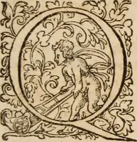 Picture 12 of 37 from Ioannis Cameronis Scoto-Britanni Theologi eximij [Ta sozomena], siue Opera partim ab auctore ipso edita, partim post eius obitum vulgata, partim nusquam hactenus publicata, vel è Gallico idiomate nunc primùm in Latinam linguam translata. In unum collecta, & variis indicibus instructa (1658), leaf 372