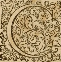 Picture 21 of 37 from Ioannis Cameronis Scoto-Britanni Theologi eximij [Ta sozomena], siue Opera partim ab auctore ipso edita, partim post eius obitum vulgata, partim nusquam hactenus publicata, vel è Gallico idiomate nunc primùm in Latinam linguam translata. In unum collecta, & variis indicibus instructa (1658), leaf 481