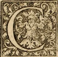 Picture 28 of 37 from Ioannis Cameronis Scoto-Britanni Theologi eximij [Ta sozomena], siue Opera partim ab auctore ipso edita, partim post eius obitum vulgata, partim nusquam hactenus publicata, vel è Gallico idiomate nunc primùm in Latinam linguam translata. In unum collecta, & variis indicibus instructa (1658), leaf 643