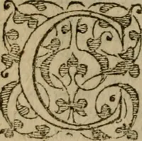 An illustration from Ioannis Calvini commentarii integri in Acta apostolorum (1564)