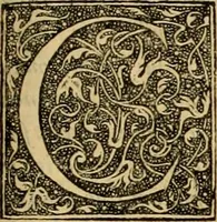 An illustration from Ioannis Calvini Opuscula omnia in unum volumen collecta : Quibus accessit libellus nuc primùm editus, De aeterna Dei praedestinatione, adversus Albertù Pighium Campensem, & Georgium Siculum. Locorum sacrae Scripturae in his opusculis obiter interpretatoru index (1552)