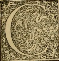 Picture 10 of 24 from Ioannis Calvini Opuscula omnia in unum volumen collecta : Quibus accessit libellus nuc primùm editus, De aeterna Dei praedestinatione, adversus Albertù Pighium Campensem, & Georgium Siculum. Locorum sacrae Scripturae in his opusculis obiter interpretatoru index (1552), leaf 388