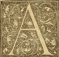 An illustration from Ioannis Calvini Opuscula omnia in unum volumen collecta : Quibus accessit libellus nuc primùm editus, De aeterna Dei praedestinatione, adversus Albertù Pighium Campensem, & Georgium Siculum. Locorum sacrae Scripturae in his opusculis obiter interpretatoru index (1552)