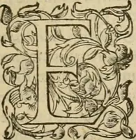 An illustration from Ioannis Calvini praelectiones in duodecim prophetas (quos vocant) minores .. (1559)