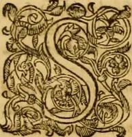 An illustration from Ioannis Calvini Tractatus theologici omnes : in unum volumen certis classibus congesti : quorum aliqui nec latine nec gallicè prius editi fuerunt (1597)