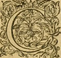 An illustration from Ioannis Calvini Tractatus theologici omnes : in unum volumen certis classibus congesti : quorum aliqui nec latine nec gallicè prius editi fuerunt (1597)