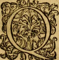 An illustration from Ioannis Calvini Tractatus theologici omnes : in unum volumen certis classibus congesti : quorum aliqui nec latine nec gallicè prius editi fuerunt (1597)