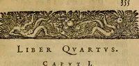 Picture 5 of 10 from Ioannis Dallaei De imaginibus libri IV (1642), leaf 376