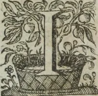 Picture 3 of 109 from Ioannis Eusebii Nierembergii Madritensis ex Societate Iesu ... Historia naturae, maxime peregrinae, libris XVI. distincta : in quibus rarissima naturae arcana, etiam astronomica, & ignota Indiarum animalia, ... plantae, metalla, lapides & alia mineralia, fluuiorumque & elementorum conditiones, etiam cum proprietatibus medicinalibus, describuntur ... : accedunt de miris & miraculosis naturis in Europâ libri duo, item de iisdem in terrâ Hebraeis promissâ liber vnus (1635), leaf 14