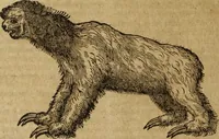 An illustration from Ioannis Eusebii Nierembergii Madritensis ex Societate Iesu ... Historia naturae, maxime peregrinae, libris XVI. distincta : in quibus rarissima naturae arcana, etiam astronomica, & ignota Indiarum animalia, ... plantae, metalla, lapides & alia mineralia, fluuiorumque & elementorum conditiones, etiam cum proprietatibus medicinalibus, describuntur ... : accedunt de miris & miraculosis naturis in Europâ libri duo, item de iisdem in terrâ Hebraeis promissâ liber vnus (1635)