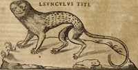An illustration from Ioannis Eusebii Nierembergii Madritensis ex Societate Iesu ... Historia naturae, maxime peregrinae, libris XVI. distincta : in quibus rarissima naturae arcana, etiam astronomica, & ignota Indiarum animalia, ... plantae, metalla, lapides & alia mineralia, fluuiorumque & elementorum conditiones, etiam cum proprietatibus medicinalibus, describuntur ... : accedunt de miris & miraculosis naturis in Europâ libri duo, item de iisdem in terrâ Hebraeis promissâ liber vnus (1635)
