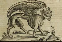 An illustration from Ioannis Eusebii Nierembergii Madritensis ex Societate Iesu ... Historia naturae, maxime peregrinae, libris XVI. distincta : in quibus rarissima naturae arcana, etiam astronomica, & ignota Indiarum animalia, ... plantae, metalla, lapides & alia mineralia, fluuiorumque & elementorum conditiones, etiam cum proprietatibus medicinalibus, describuntur ... : accedunt de miris & miraculosis naturis in Europâ libri duo, item de iisdem in terrâ Hebraeis promissâ liber vnus (1635)