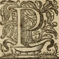 Picture 46 of 109 from Ioannis Eusebii Nierembergii Madritensis ex Societate Iesu ... Historia naturae, maxime peregrinae, libris XVI. distincta : in quibus rarissima naturae arcana, etiam astronomica, & ignota Indiarum animalia, ... plantae, metalla, lapides & alia mineralia, fluuiorumque & elementorum conditiones, etiam cum proprietatibus medicinalibus, describuntur ... : accedunt de miris & miraculosis naturis in Europâ libri duo, item de iisdem in terrâ Hebraeis promissâ liber vnus (1635), leaf 219