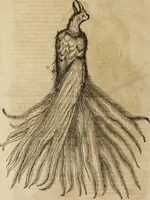 Picture 50 of 109 from Ioannis Eusebii Nierembergii Madritensis ex Societate Iesu ... Historia naturae, maxime peregrinae, libris XVI. distincta : in quibus rarissima naturae arcana, etiam astronomica, & ignota Indiarum animalia, ... plantae, metalla, lapides & alia mineralia, fluuiorumque & elementorum conditiones, etiam cum proprietatibus medicinalibus, describuntur ... : accedunt de miris & miraculosis naturis in Europâ libri duo, item de iisdem in terrâ Hebraeis promissâ liber vnus (1635), leaf 223