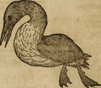 An illustration from Ioannis Eusebii Nierembergii Madritensis ex Societate Iesu ... Historia naturae, maxime peregrinae, libris XVI. distincta : in quibus rarissima naturae arcana, etiam astronomica, & ignota Indiarum animalia, ... plantae, metalla, lapides & alia mineralia, fluuiorumque & elementorum conditiones, etiam cum proprietatibus medicinalibus, describuntur ... : accedunt de miris & miraculosis naturis in Europâ libri duo, item de iisdem in terrâ Hebraeis promissâ liber vnus (1635)