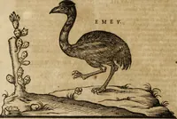 An illustration from Ioannis Eusebii Nierembergii Madritensis ex Societate Iesu ... Historia naturae, maxime peregrinae, libris XVI. distincta : in quibus rarissima naturae arcana, etiam astronomica, & ignota Indiarum animalia, ... plantae, metalla, lapides & alia mineralia, fluuiorumque & elementorum conditiones, etiam cum proprietatibus medicinalibus, describuntur ... : accedunt de miris & miraculosis naturis in Europâ libri duo, item de iisdem in terrâ Hebraeis promissâ liber vnus (1635)