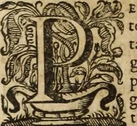 Picture 65 of 109 from Ioannis Eusebii Nierembergii Madritensis ex Societate Iesu ... Historia naturae, maxime peregrinae, libris XVI. distincta : in quibus rarissima naturae arcana, etiam astronomica, & ignota Indiarum animalia, ... plantae, metalla, lapides & alia mineralia, fluuiorumque & elementorum conditiones, etiam cum proprietatibus medicinalibus, describuntur ... : accedunt de miris & miraculosis naturis in Europâ libri duo, item de iisdem in terrâ Hebraeis promissâ liber vnus (1635), leaf 257