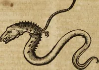 An illustration from Ioannis Eusebii Nierembergii Madritensis ex Societate Iesu ... Historia naturae, maxime peregrinae, libris XVI. distincta : in quibus rarissima naturae arcana, etiam astronomica, & ignota Indiarum animalia, ... plantae, metalla, lapides & alia mineralia, fluuiorumque & elementorum conditiones, etiam cum proprietatibus medicinalibus, describuntur ... : accedunt de miris & miraculosis naturis in Europâ libri duo, item de iisdem in terrâ Hebraeis promissâ liber vnus (1635)