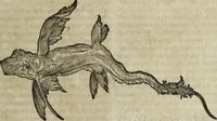 An illustration from Ioannis Eusebii Nierembergii Madritensis ex Societate Iesu ... Historia naturae, maxime peregrinae, libris XVI. distincta : in quibus rarissima naturae arcana, etiam astronomica, & ignota Indiarum animalia, ... plantae, metalla, lapides & alia mineralia, fluuiorumque & elementorum conditiones, etiam cum proprietatibus medicinalibus, describuntur ... : accedunt de miris & miraculosis naturis in Europâ libri duo, item de iisdem in terrâ Hebraeis promissâ liber vnus (1635)
